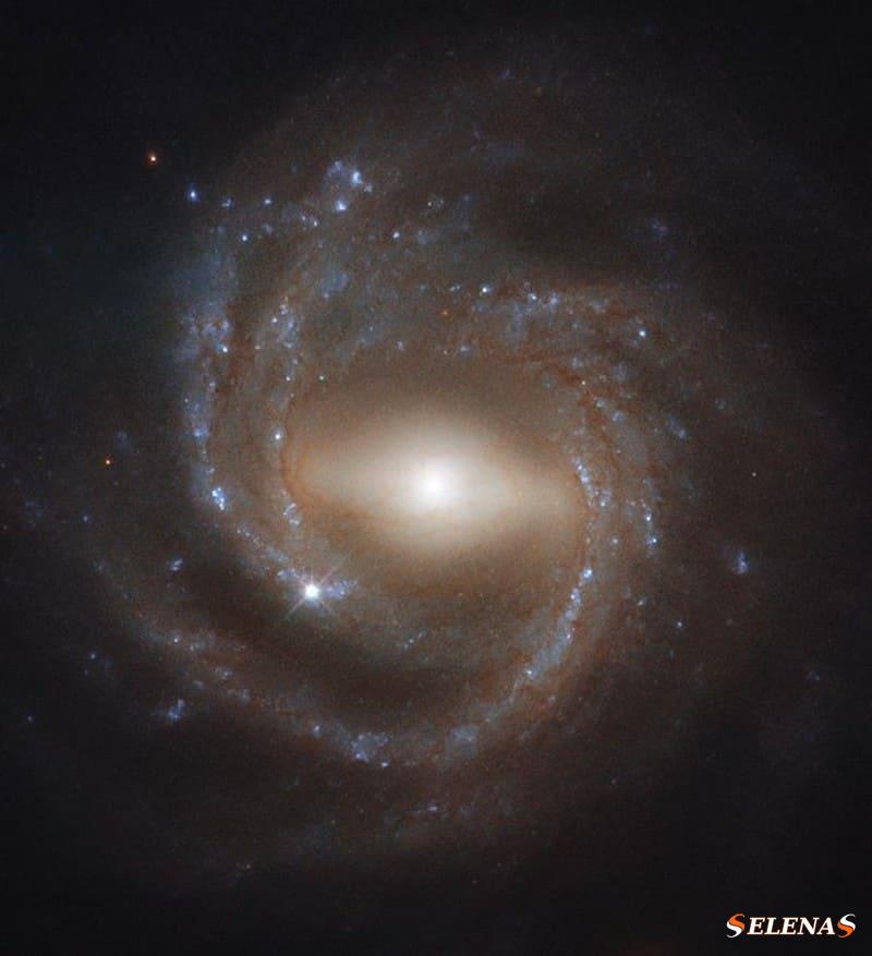 галактика NGC 7773