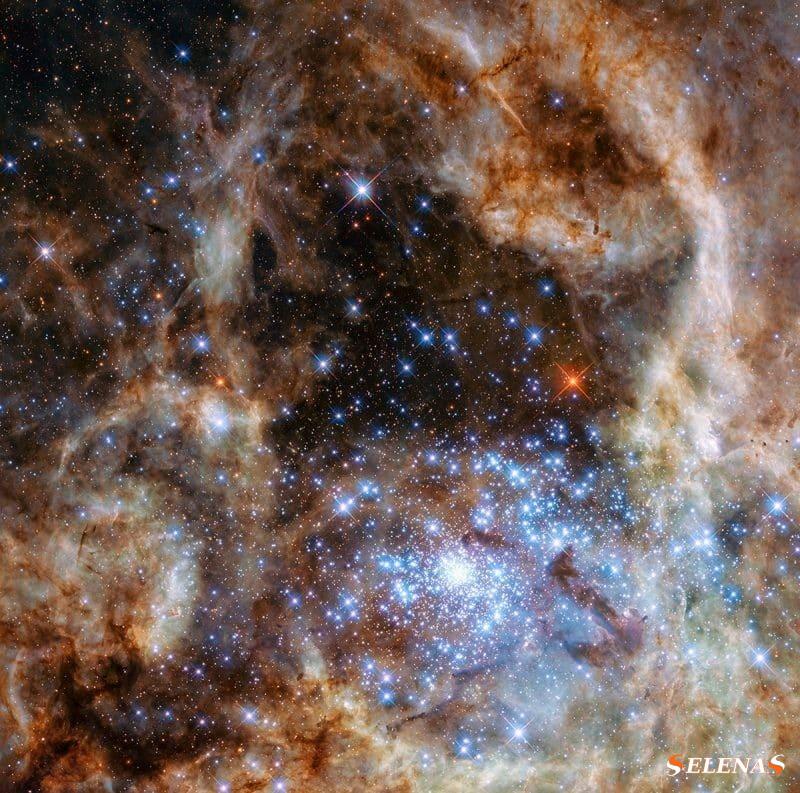 Множество сверкающих бело-голубых звезд близко друг к другу, окруженных тонкими лентами, и одна яркая красная звезда вдалеке.