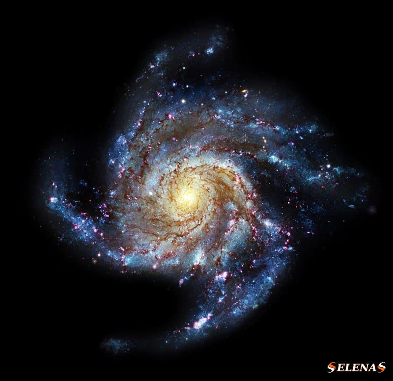 Галактика Вертушка