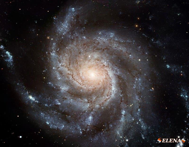 Типы галактик - спиральная галактика