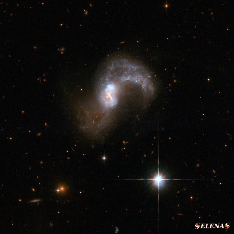 взаимодействующие галактики в антлии