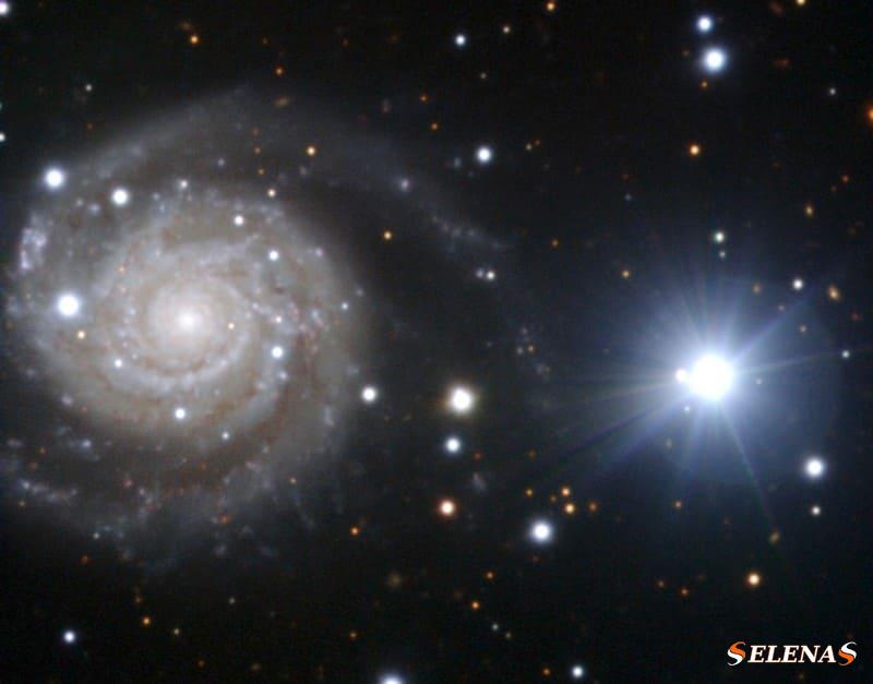 спиральная галактика в антлии