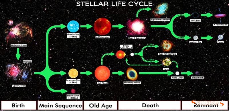 Жизненный цикл красных сверхгигантов