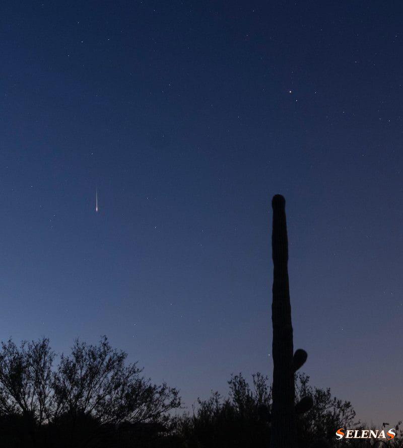 Тонкая вертикальная яркая линия на темно-синем небе с высоким кактусом Сагуаро на переднем плане.
