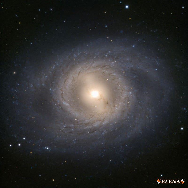 Мессье 95