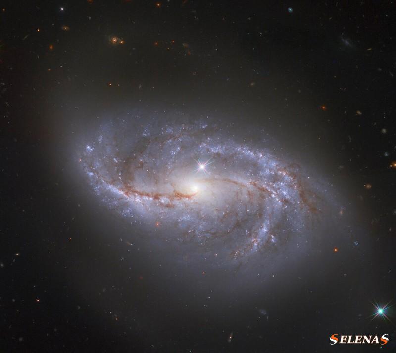 NGC 2608 (Arp 12)