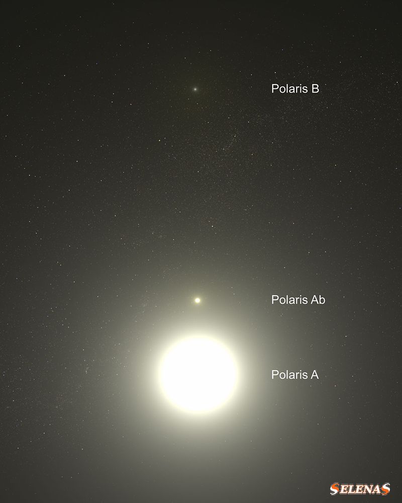 звездная система Полярная звезда, Полярная звезда b