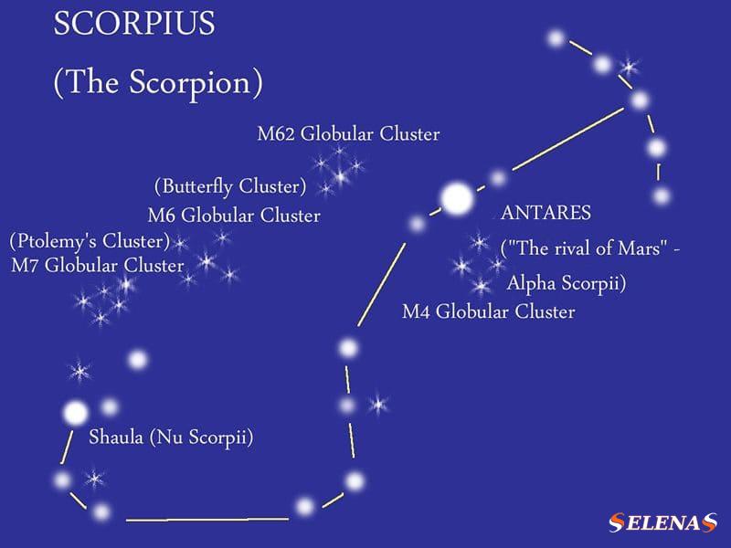 Главные звезды созвездия Скорпиона