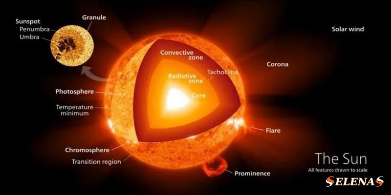 На этом разрезе показаны различные области поверхности и внутренней части Солнца, включая ядро, где происходит ядерный синтез